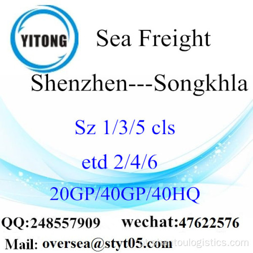 Shenzhen Port Sea Freight Shipping Para Songkhla